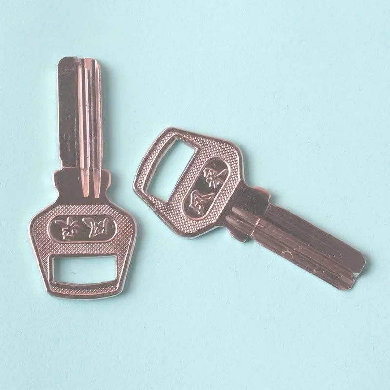 20PC  Suitable for Small Handle Style Glass Door Key Blanks, Computer Key Blanks, Locksmith Consumables