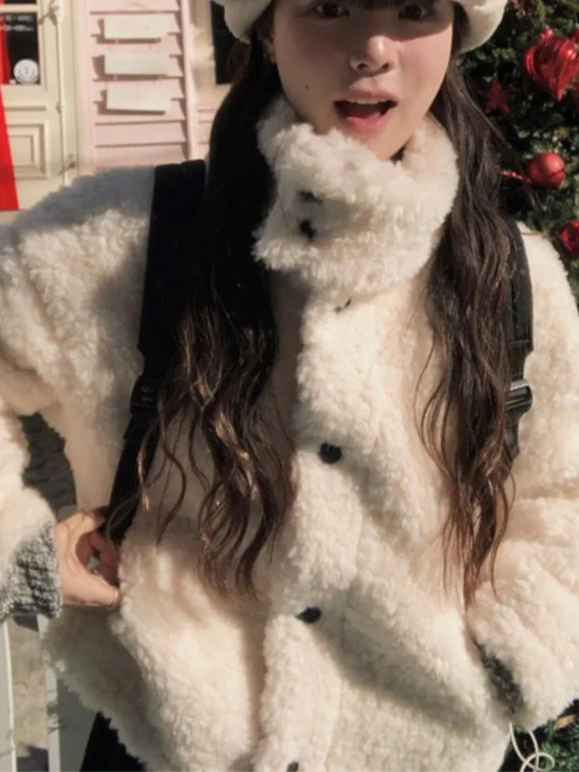 Jaet elegante de invierno con cuello alto y un solo botón de piel de cordero para mujer, abrigo largo informal holgado a la moda, cálido