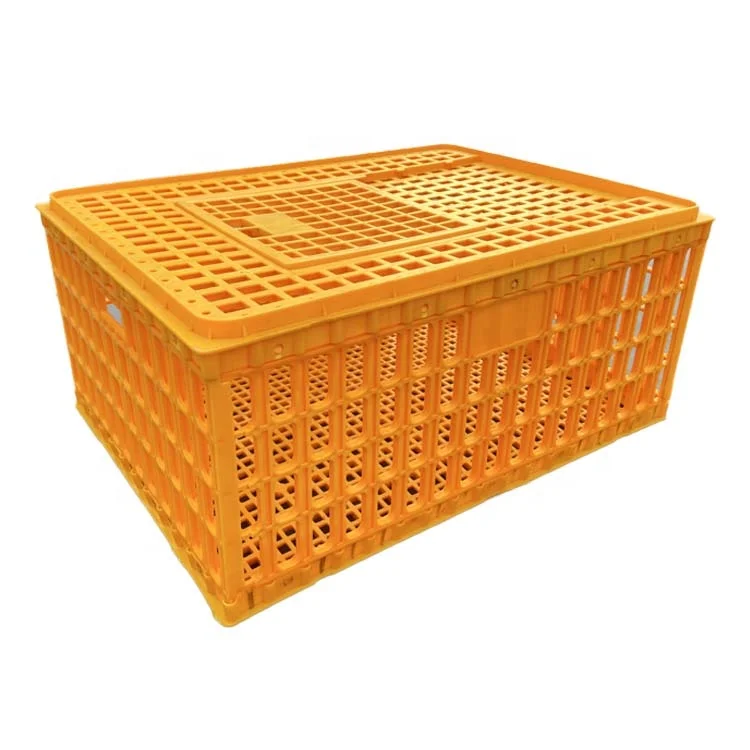 Wholesale New Plastic Turnover Basket Chicken Duck Pigeon Rabbit Transport Cage for Farms and Retail Industries