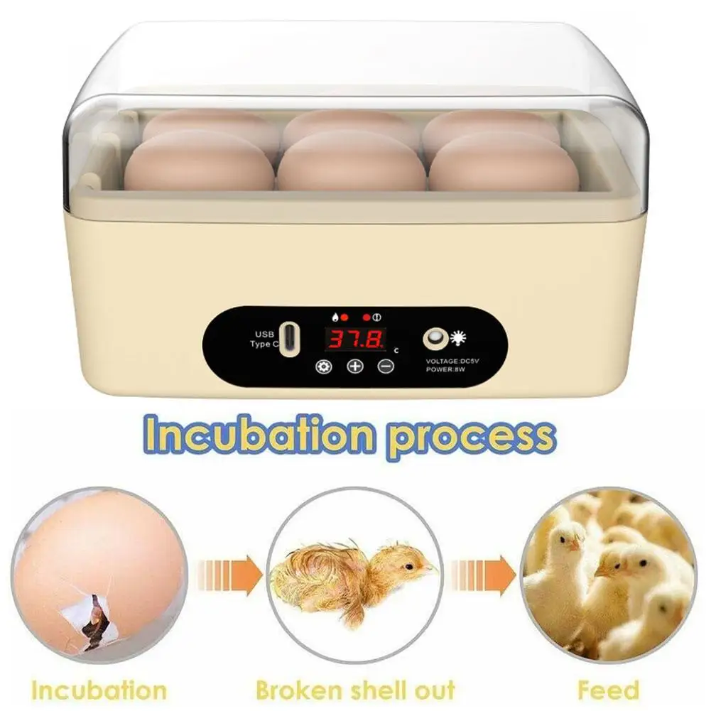 Small Egg Hatcher Box 6 Eggs With Temperature Control Egg Incubator Transparent Lid For Incubation Process Visible Gift For