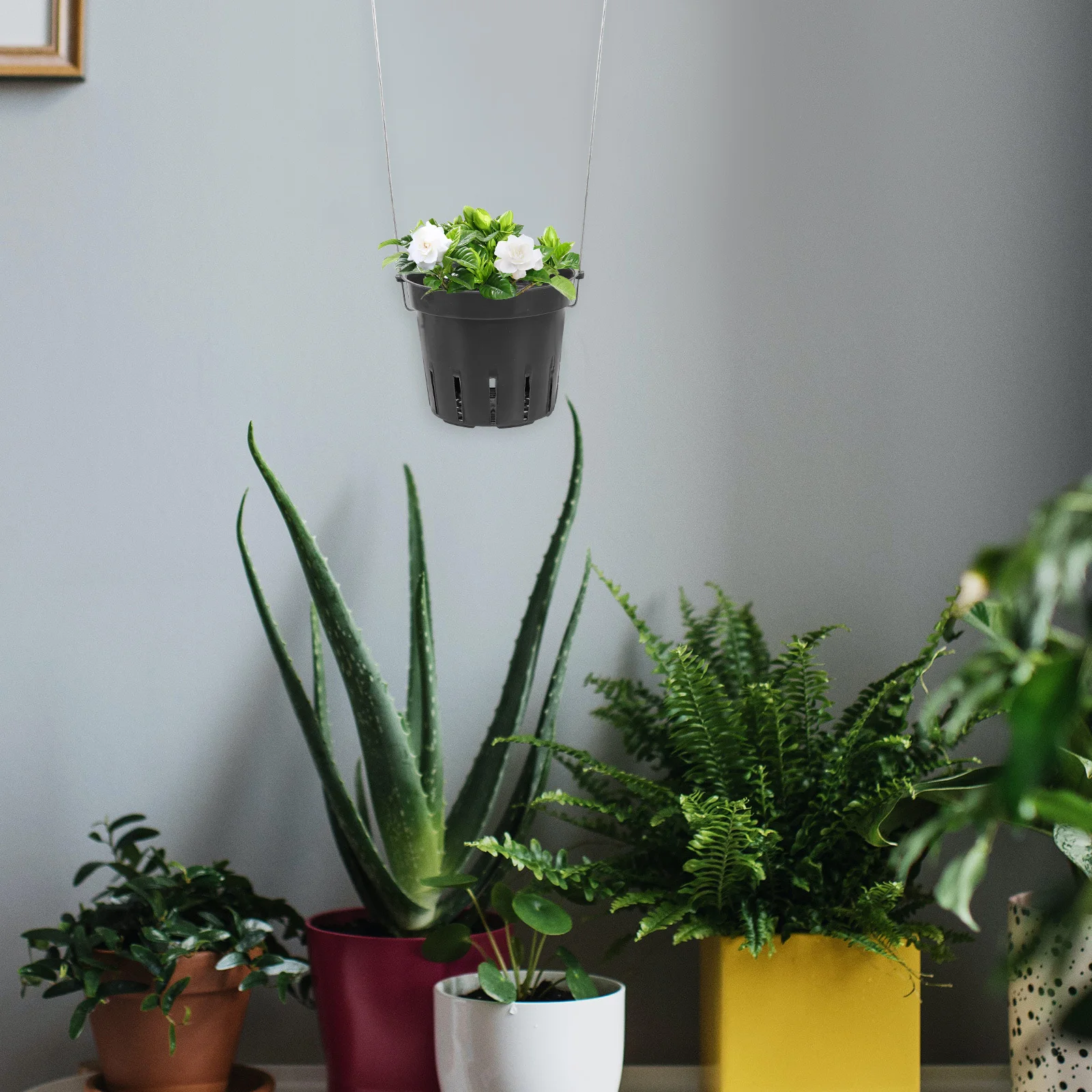 

6Pcs Hanging Flower Pots Multi Hole Indoor Outdoor Planter Home Balcony Garden Succulent Pots Hanging Planter Flower Pot