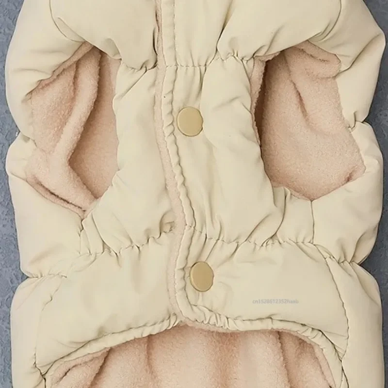 Thumbnail 4 - #15 Dog Coats List of Top Picks