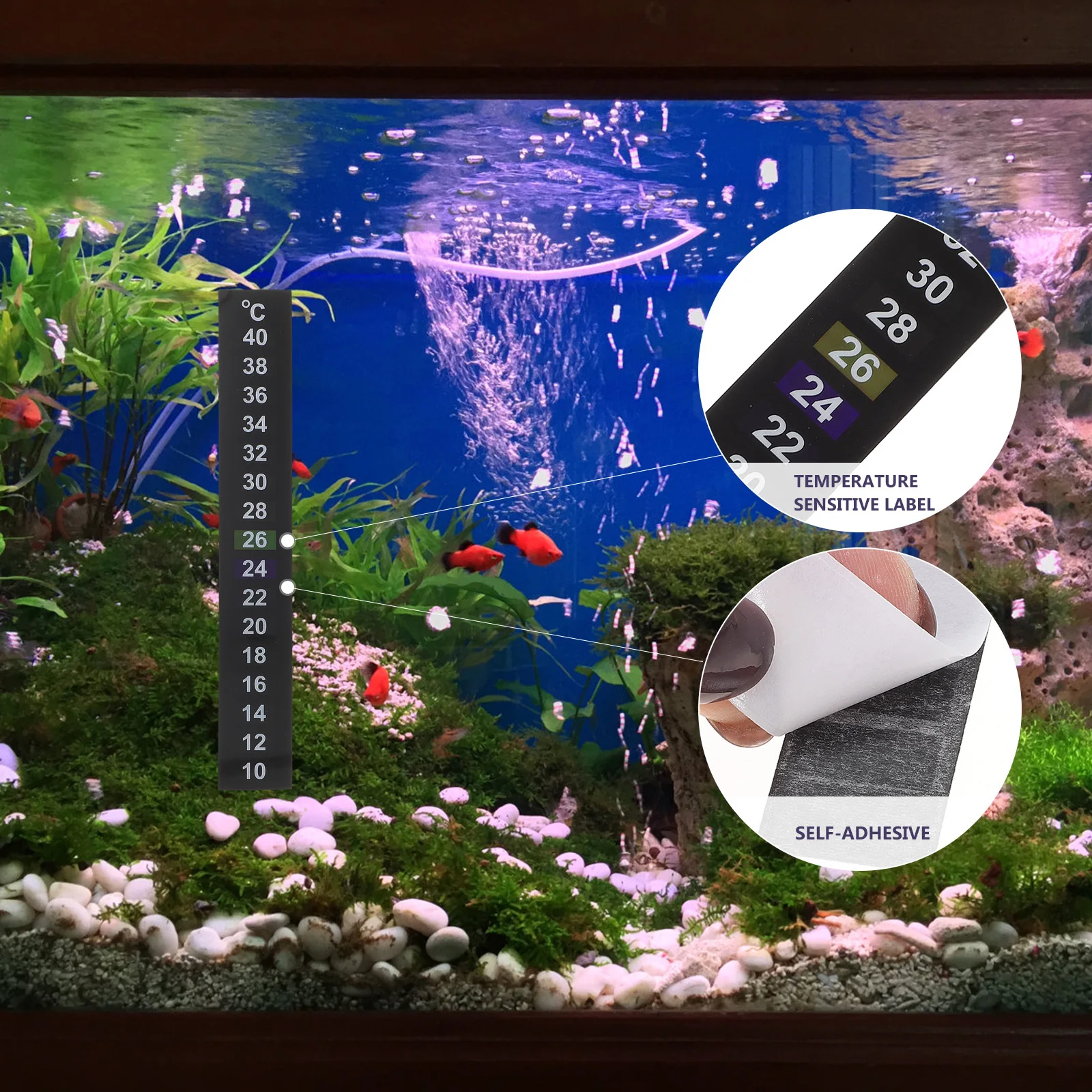 

10Pcs Aquarium Thermometer Sticker 10-40c Durable Stick on Temperature Strip Intuitive Digital Display Thermometer Sticker