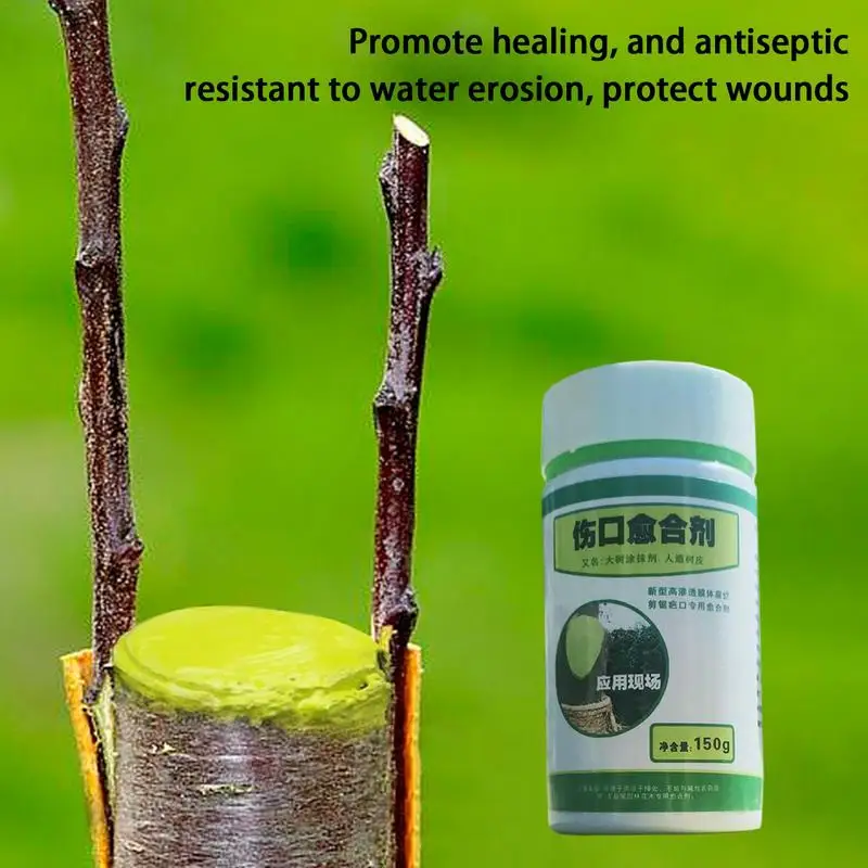 

Tree Pruning Sealer Tree Wound Repair Tree Wound Sealer Pruning Sealer For Effective Tree Wound Repair Promotes Recovery Healing