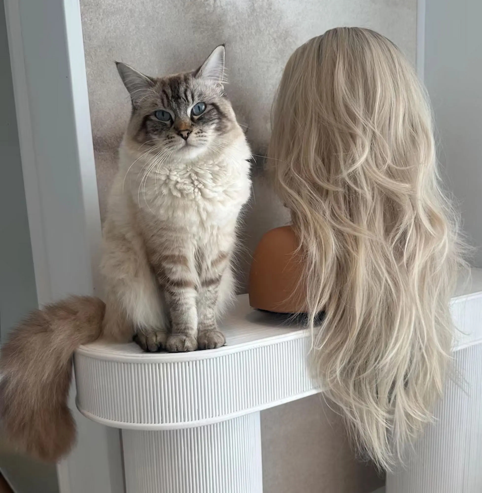 24 Inches Ombre White Blonde Synthetic Lace Top Wigs With Dark Roots New Style Middle Parting Loose Wave Glueless Wigs Daily Use