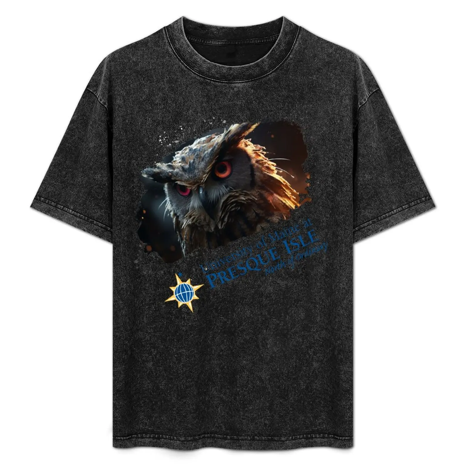 

University of Maine at Presque Isle (UMPI) Modern T-Shirt clothes football t shirt plus sizes fashion shirts cotton t shirt men