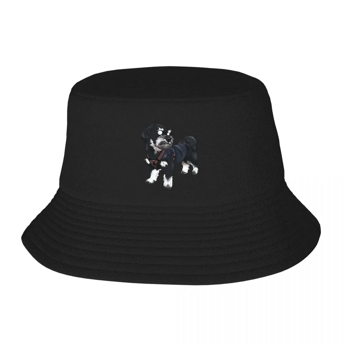 

Dog Pino (customer's pet) Bucket Hat Luxury Brand derby hat Ball Cap Hat Women Men's