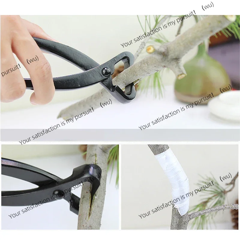 1pcs Professional Bonsai Knob Cutter Concave Edge Cutter Pliers Ball Shear Scissors Landscape Modeling Garden Bonsai Tools