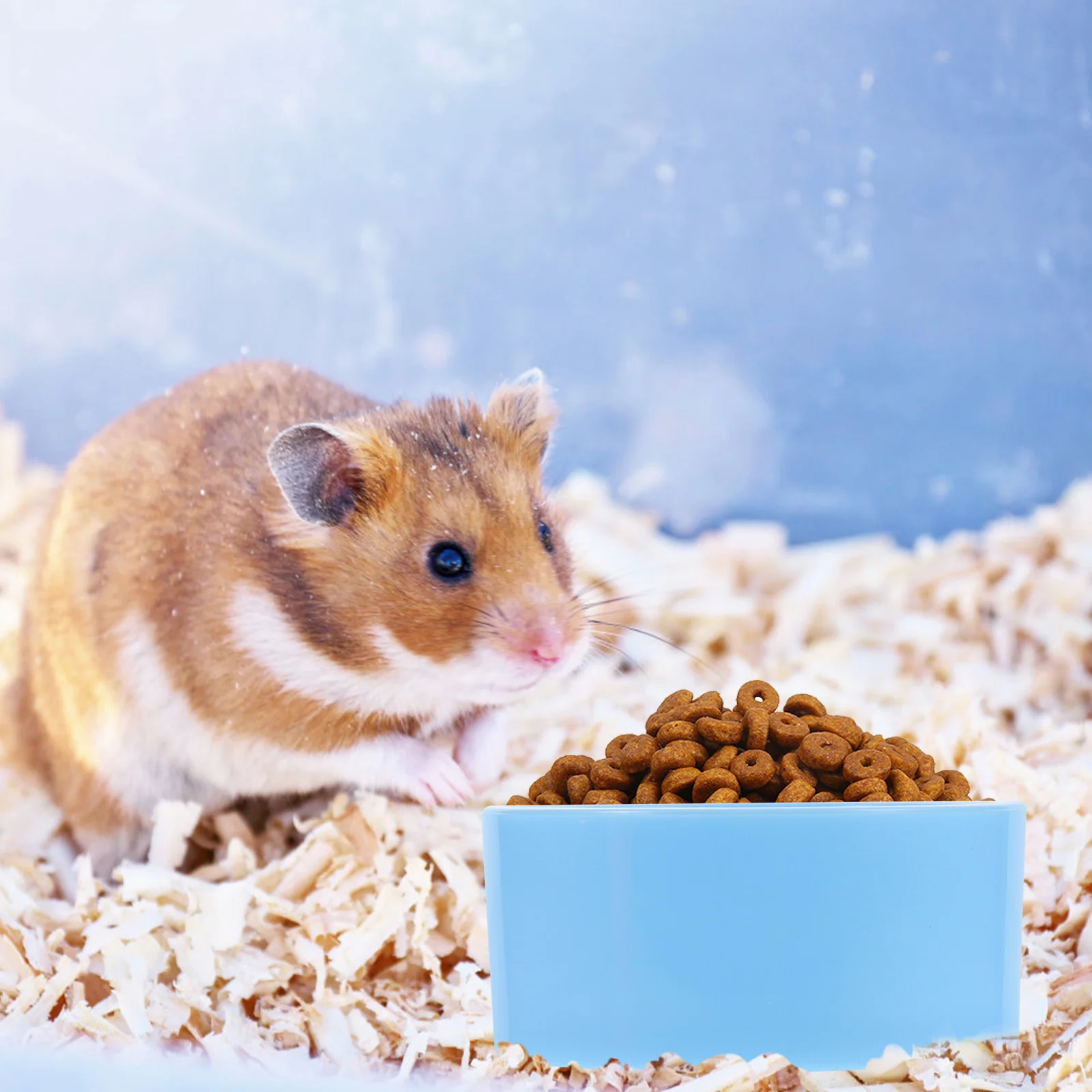 

4Pcs Premium Guinea Pig Feeder Hamster Water Bowl Comfortable Mealtime Pet Supplies Food Dish