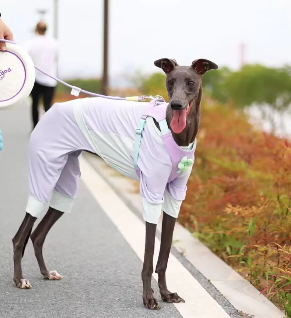 

Summer Cooling T-Shirt for Whipbi Huibit Dog Clothes Elastic Soft Coat for Bedlington Greyhound High-neck Pajamas