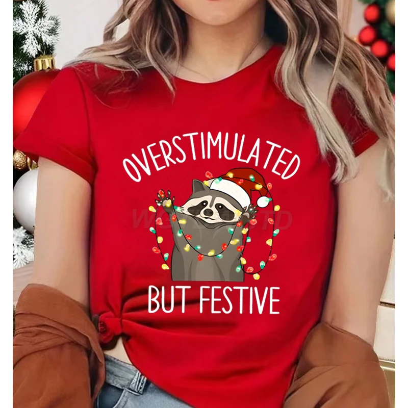 

Женская одежда, рождественская шляпа Санта-Клауса, фонари, наряды с героями мультфильмов, рождественский енот, негабаритный, но праздничный енот, мужские и женские футболки