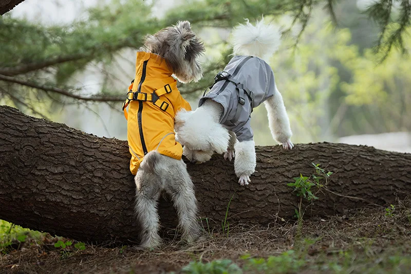 Waterproof Dog Rain Jacket with Harness Safety Reflective Dog Raincoat for Small Dogs Pet Outdoor Jackets for Jungle Camping