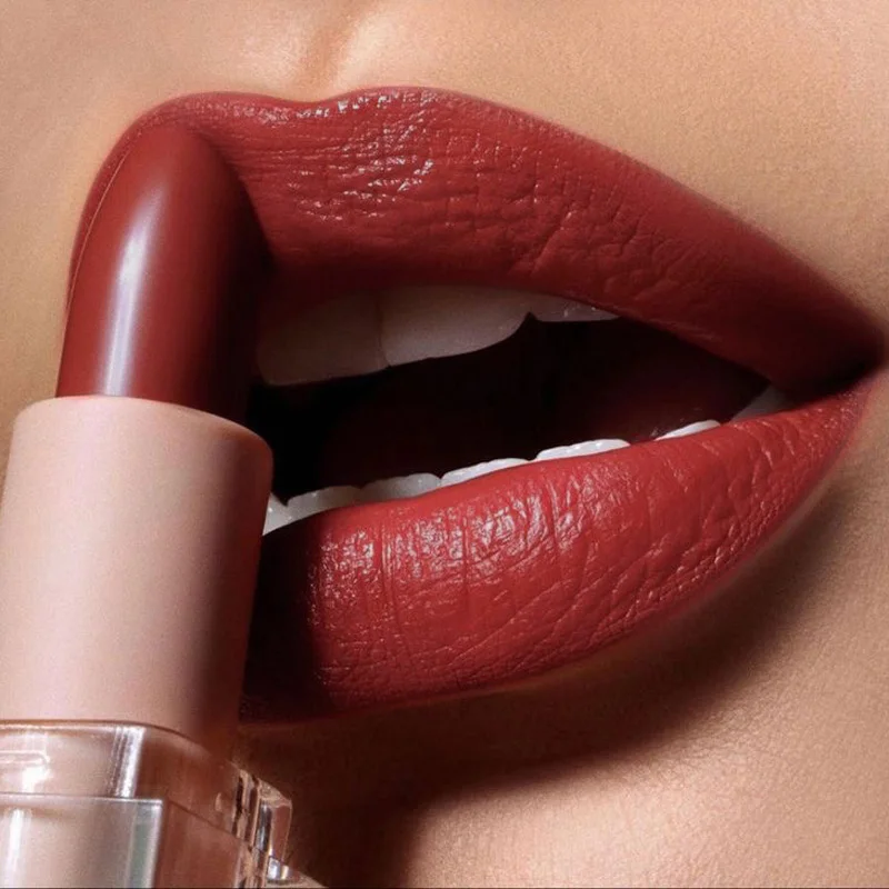 Matte Lipstick Waterproof Velvet Lip Stick Long Lasting Brown Burgundy Tint Nude Sexy Lipstick Women Makeup Cosmetics