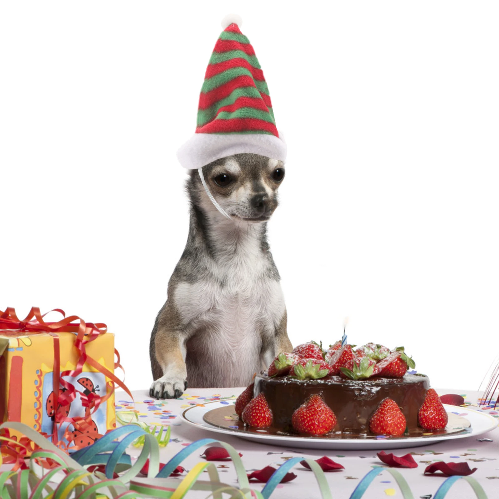 

Pet Hat Cat Apparel Dog Winter Hats Party Has Costume Costumes Christmas Accessories Halloween Puppy