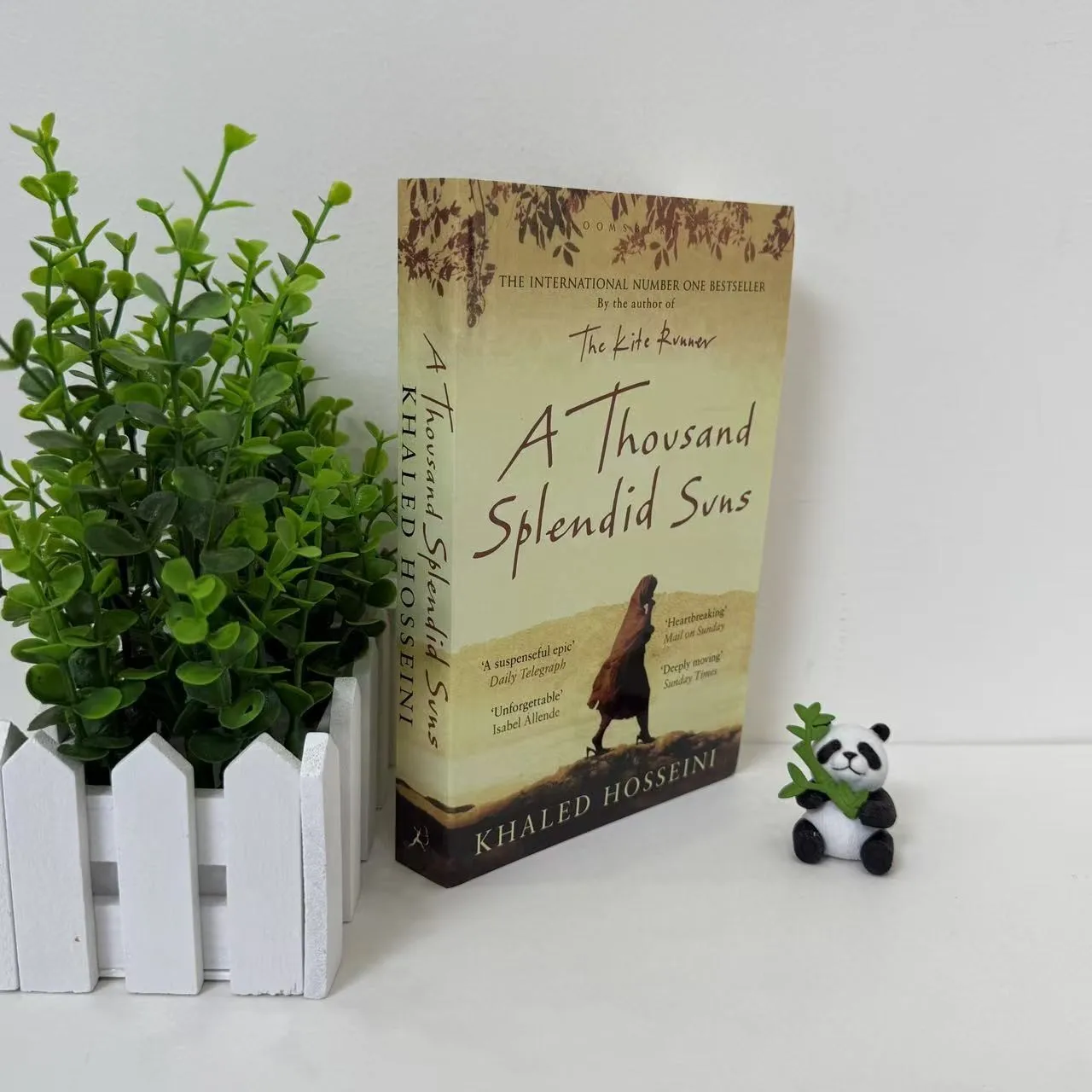 Roman anglais A Thousand Splendid Suns