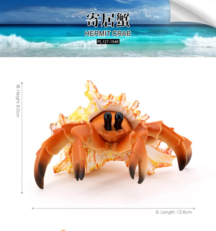 محاكاة النماذج البيولوجية لأرضية البحر البحرية حيوانات بلاستيكية صلبة، سلطعون الناسك، ألعاب السلطعون، زينة هدايا للأطفال #6