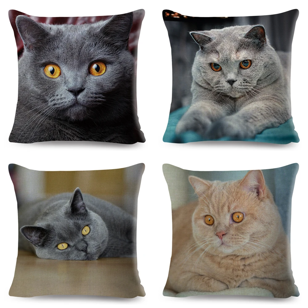 Home Decor British Shorthair Russian Blue Cushion Cover Cute Cat Pet Animal Pillowcase Sofa Polyester Pillowcase 45x45cm