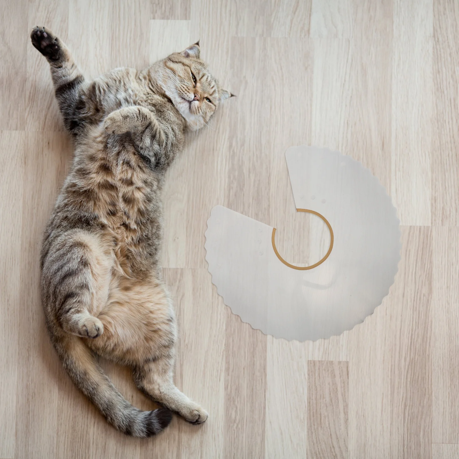 

Adjustable Cat Elizabethan Collar Lightweight Transparent Recovery Neck Cover for Post-Surgery Protection Anti-Licking Bite