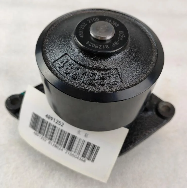 QSB6.7 6D107E ISBe ISDe  engine water pump 4891252 5312296 3800984 5473172