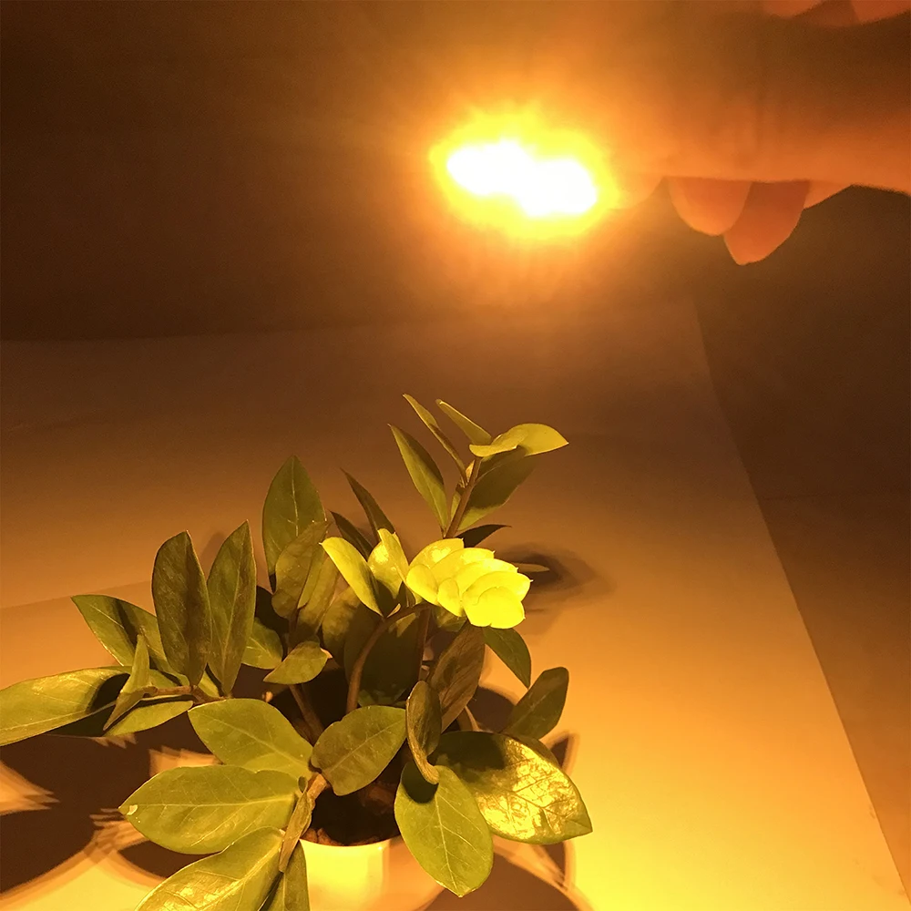 5PCS Modulo LED Ad Alta Luminosità FAI DA TE 1.5W 5V 5730 LED Chip Perline di Luce Bordo con Filo Rosso Giallo Verde Blu Luce Bianca Calda