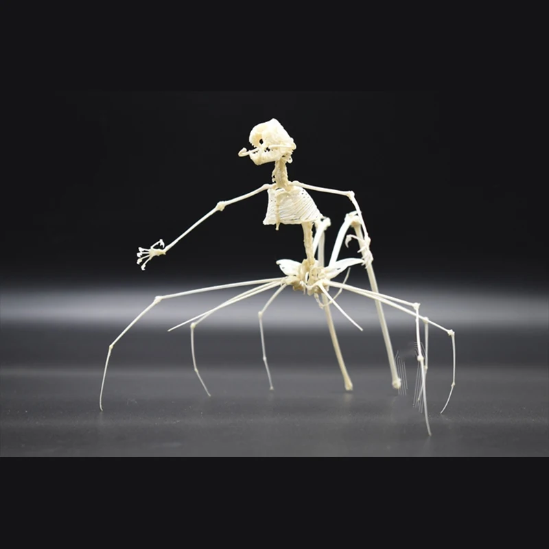 

2023 Original Splicing Spider Bone Tabletop Bone Ornaments Gothic Style Bone Specimen Decoration Birthday Creative Gift