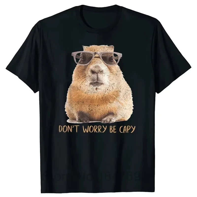 Printed Funny Capybara TShirt for WomenRetro Pattern T-Shirts Summer Casual Fashion Loose T-Shirts Round Neck Tops Streetwear