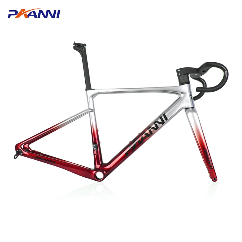 PAANNI Carbon Frame Road Bikes Frame Gravel Frameset Fixed Gear Frame Fully Concealed Carbon Fiber Disc Road Bike Frameset