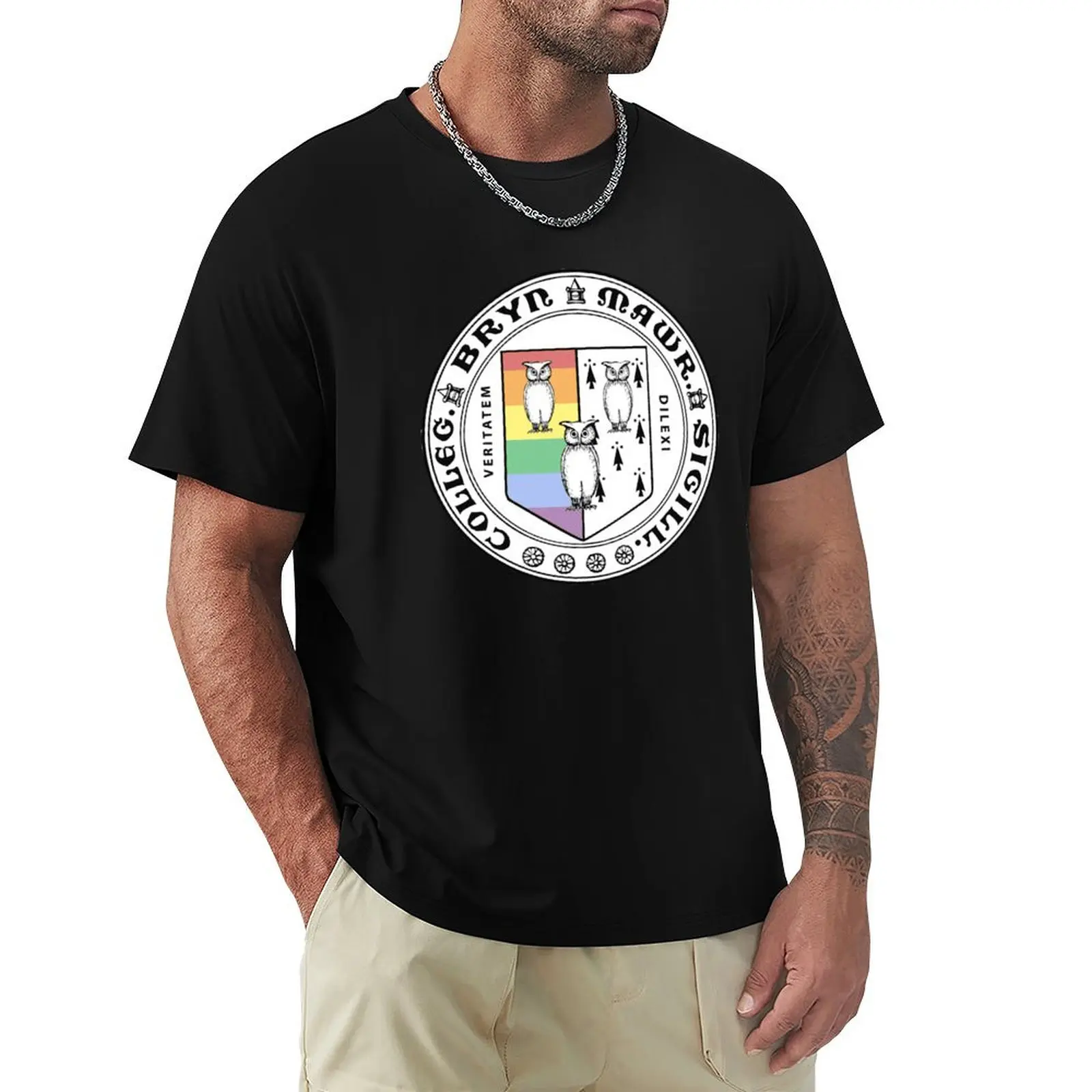Bryn Mawr Faded Pride Seal T-Shirt Big Size Simple T-Shirt