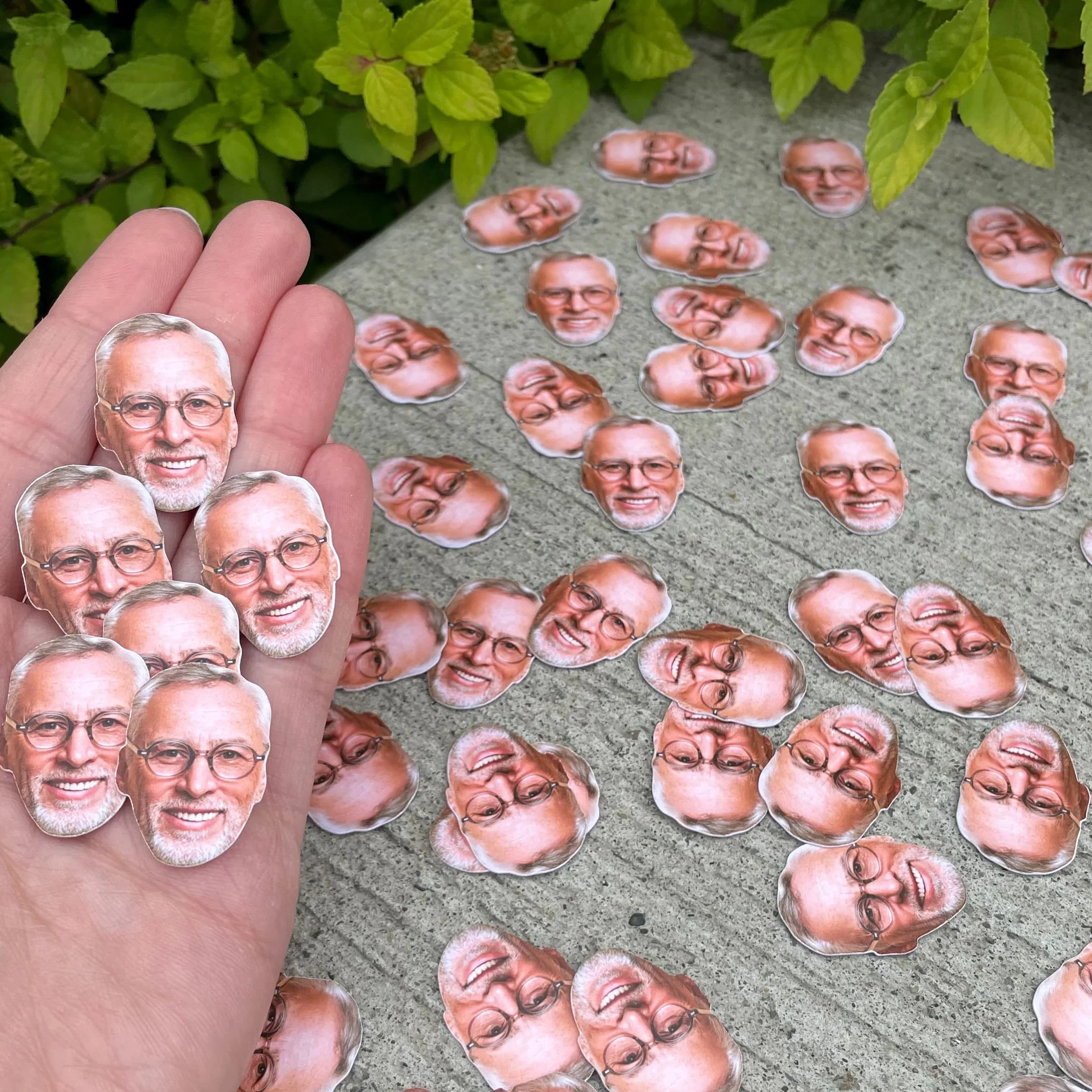 قصاصات الوجه. تتوفر خيارات متعددة بلمسة نهائية لامعة