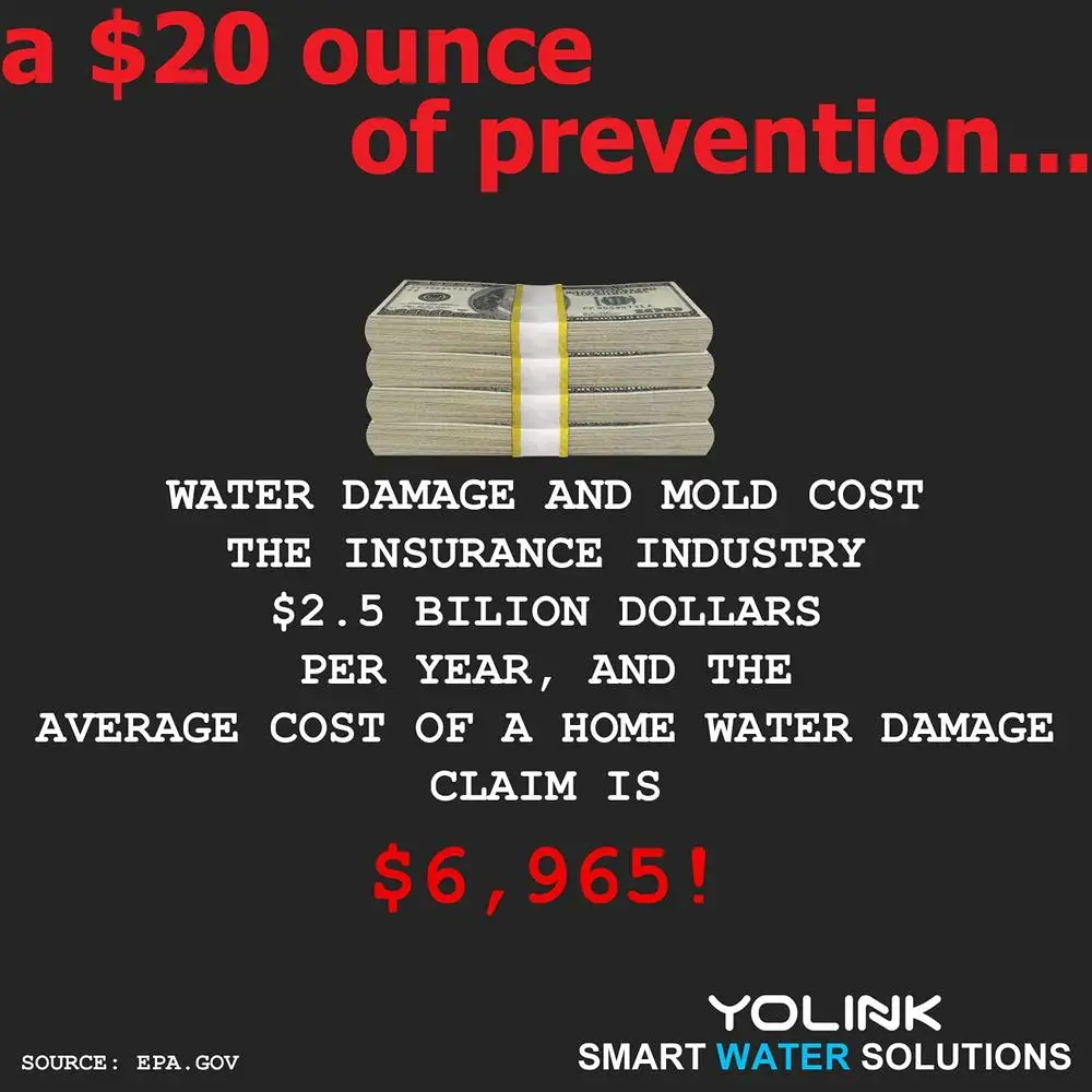 Smart LoRa Water Gas Valve Shutoff Timer Voice Control Compatible