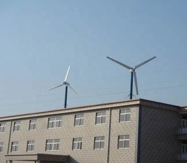 CE Poland Italy Romania Hot Selling Home Use 20KW 30KW  48v 220v 380v Windmill Horizontal Axis Turbine Power Wind Generator 10kw