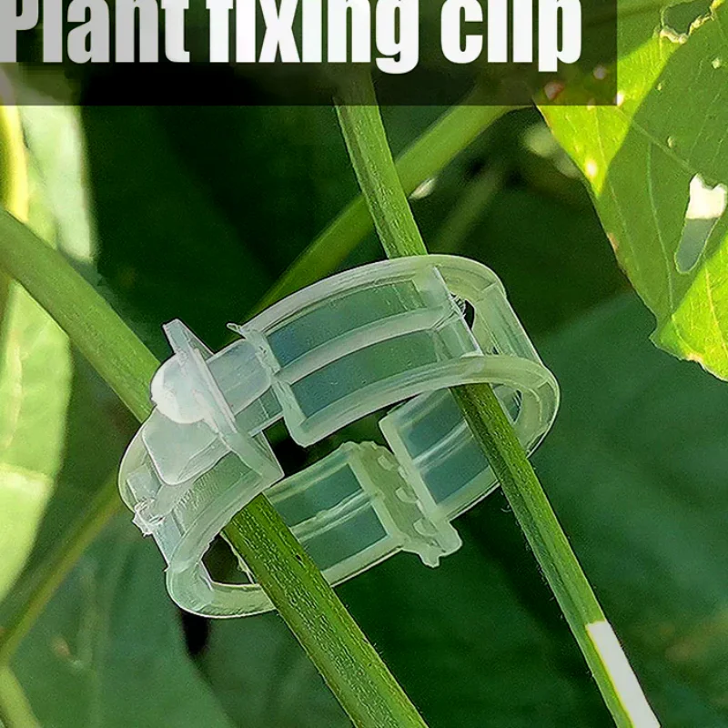 100Pcs Secured Plastic Plant Clip Upgrade Plant Support Clips Garden Clips For Climbing Plants Support Clips Plant Fixing Clips