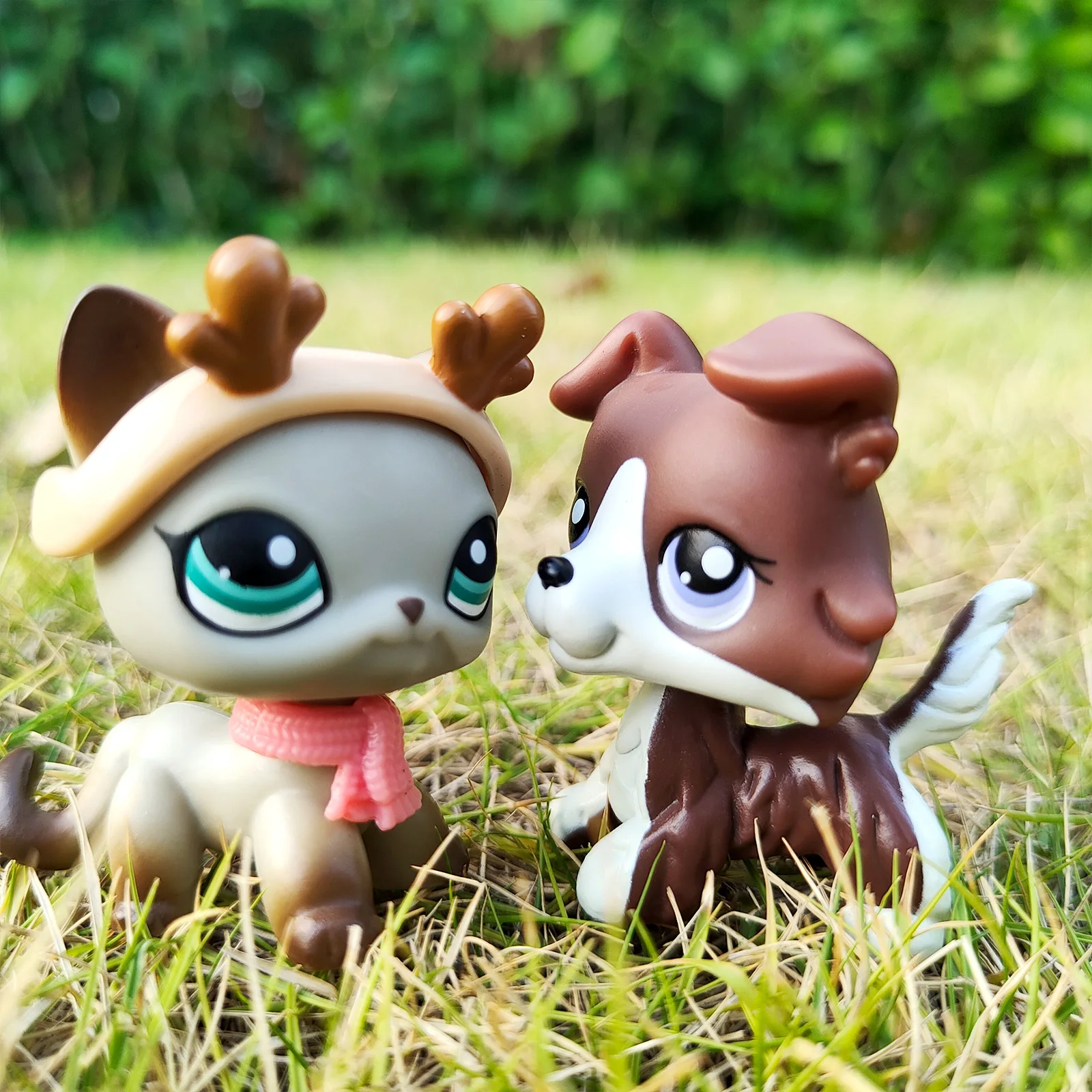 

LPS Minilpsshop Pet Shop Bobble Head Rare Collie Shorthair Cat Suit Toys Children's Gift for Boy and Girl Collection
