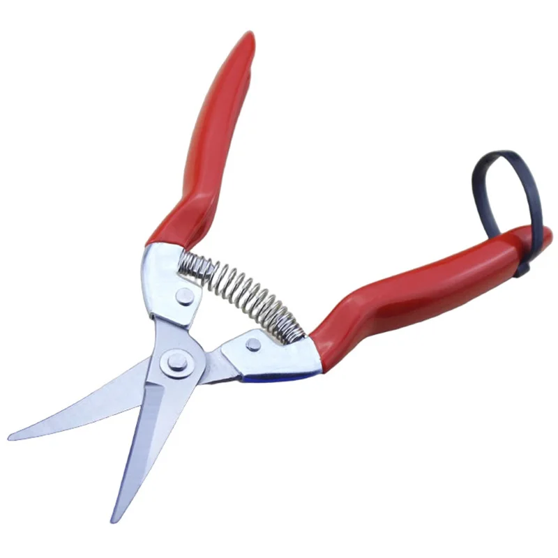 

Steel Sharp Blade Point Head Garden Scissors With PVC Handle Flowers Pruner Fruit Branch Pruning Tool Cutter For Bonsai Plants