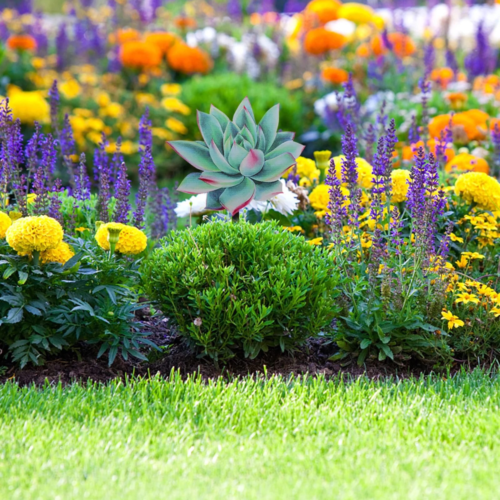 

Acrylic Succulent Garden Stake Outdoor Yard Decor Realistic Pattern Lawn Sign Succulent Lawn Sign Gardening Decor