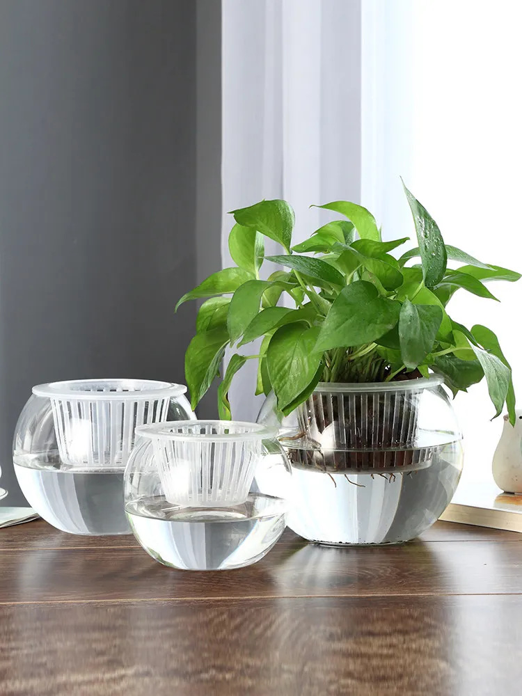 Hydroponic Glass Vase Glass Gr - Propagation Station Vase recension och pris