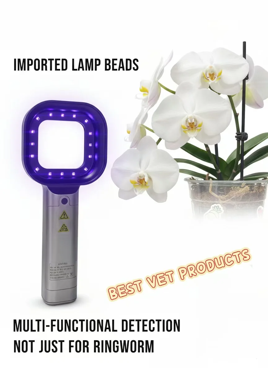Big Sale 50MM Large View Window Wood Lamp Portable Pet Facial Skin Observation Lamp for Cat Dog Daily Care