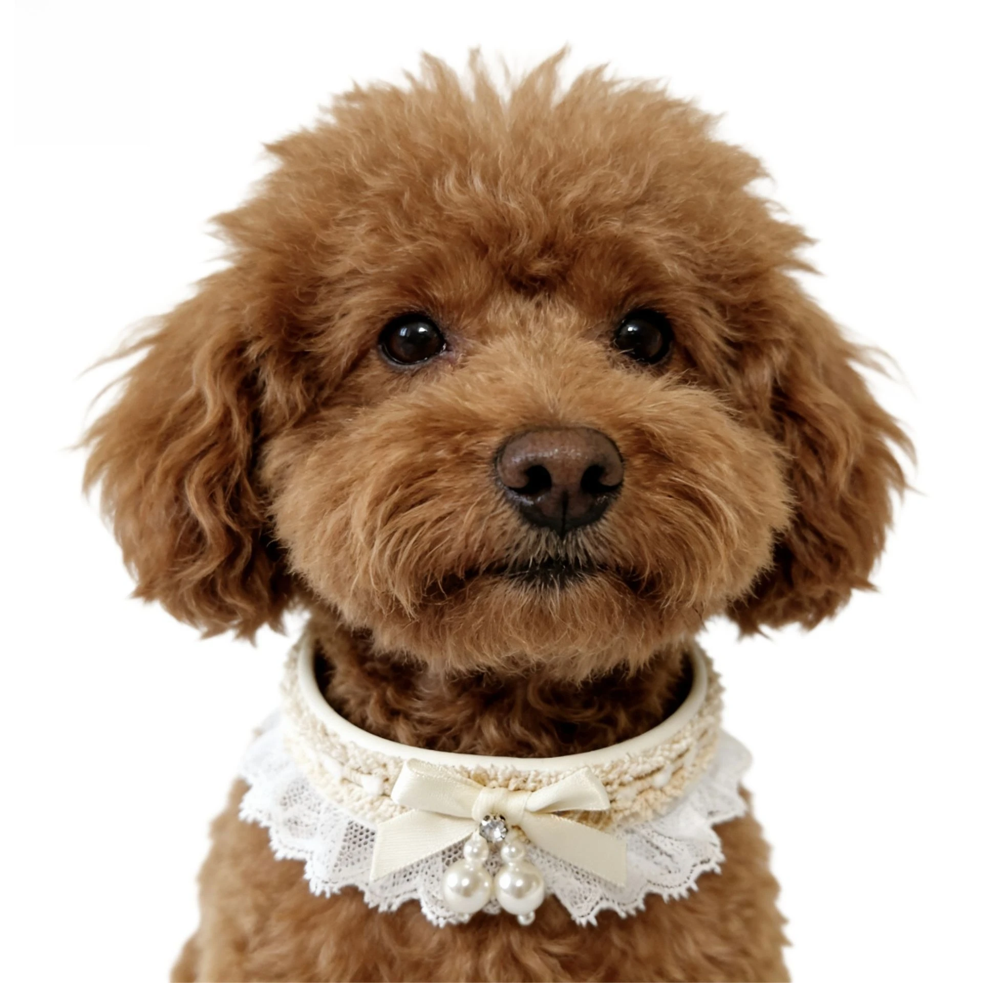 

New Adjustable Lace Bow Cat Collar, Premium Pet Necklace for Small Dogs Cats, Elegant Kitten Puppy Accessories