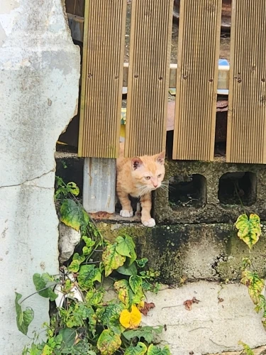 리뷰 사진
