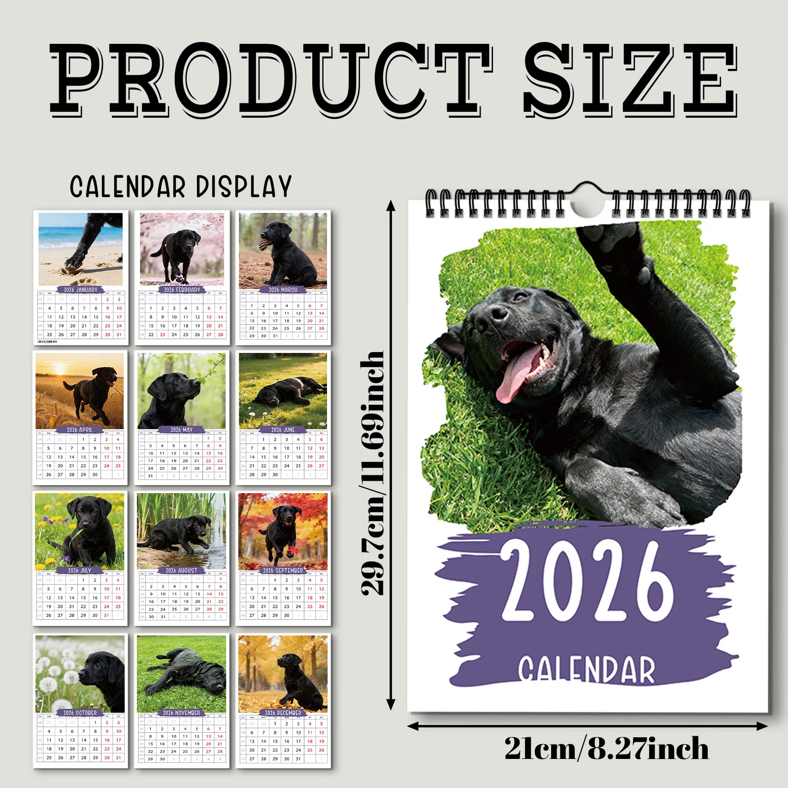 ปฏิทินสุนัขสีดำและมีพลังที่น่ารัก 1 ชิ้น เหมาะสำหรับการตกแต่งห้องนั่งเล่น เหมาะสำหรับคนรักสัตว์เลี้ยงที่มีความเสถียรทางอารมณ์