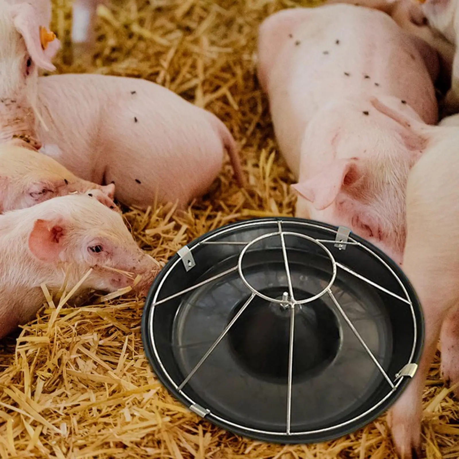 Pig feed Trough Pig Farming Supplies Pig Feeder Bowl for Cattle Livestock