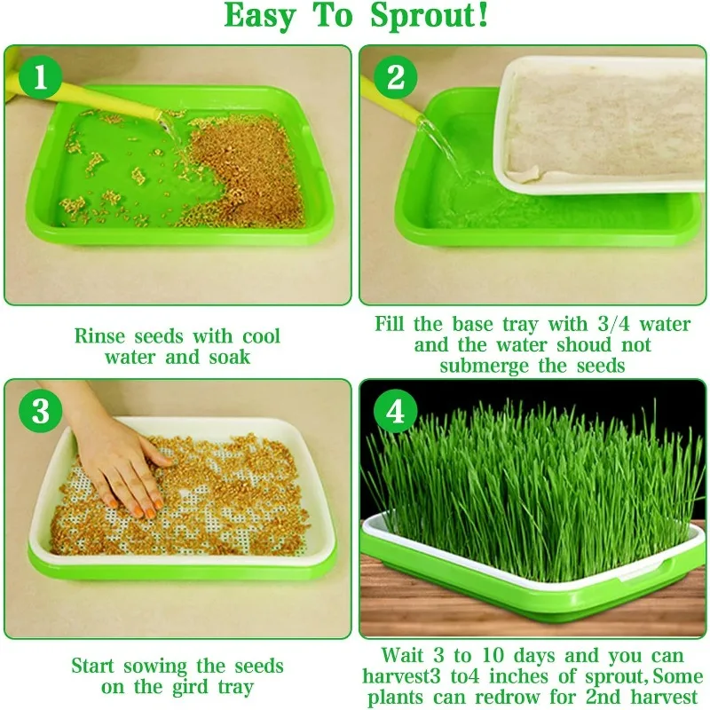 Microgreens Sprout Tray Germination Tray Double Layer Sprout Hydroponics Tray Plate Nursery Pots Soilless Cultivation Planting - view 5