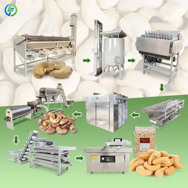 Factory Price Automatic Processed Raw Cashew Nut Processing Process Plant Production Line Machine to Make Cashew Customized