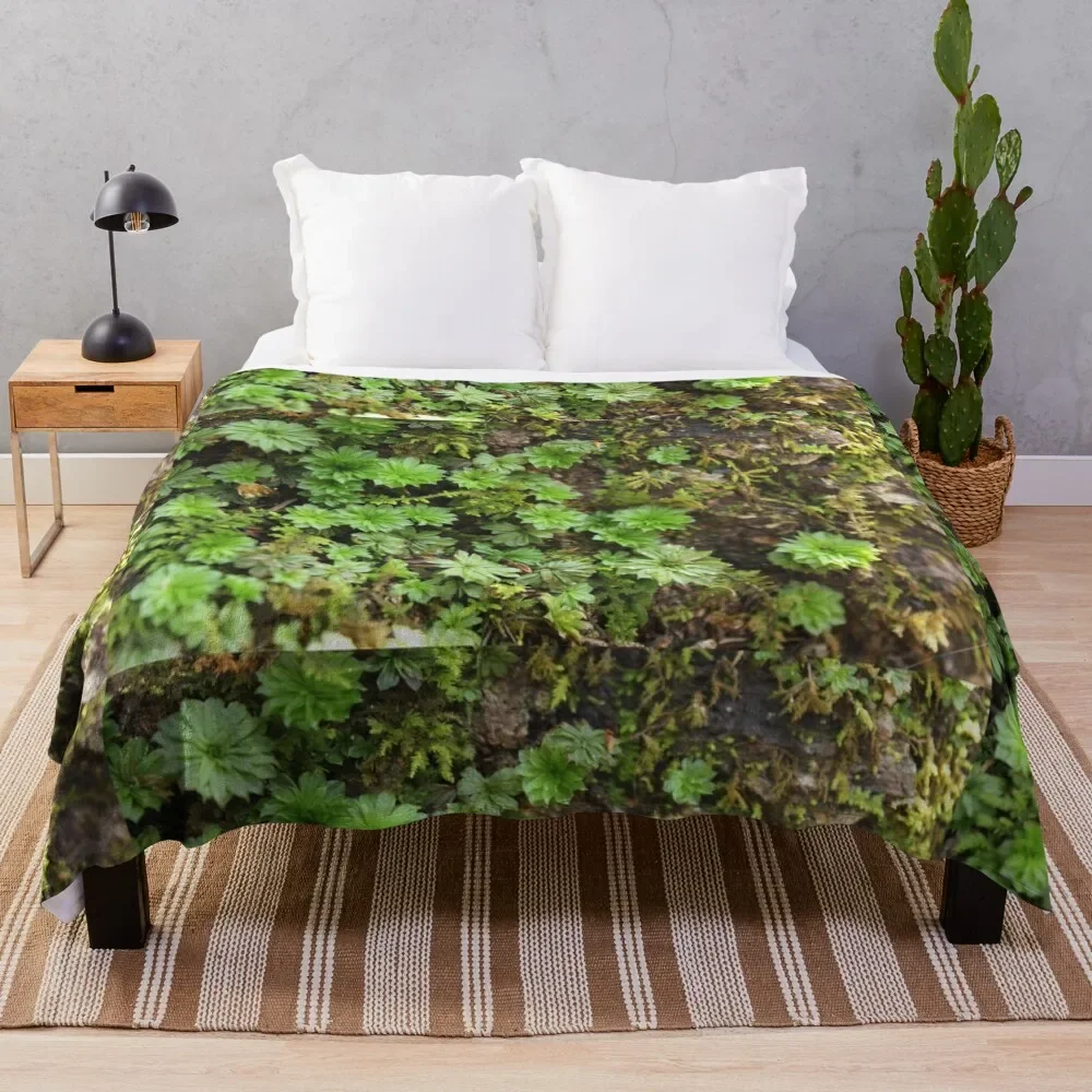 

Fern-like Moss closeup on forest floor Throw Blanket Plaid on the sofa Thin Fashion Sofas for sofa Blankets