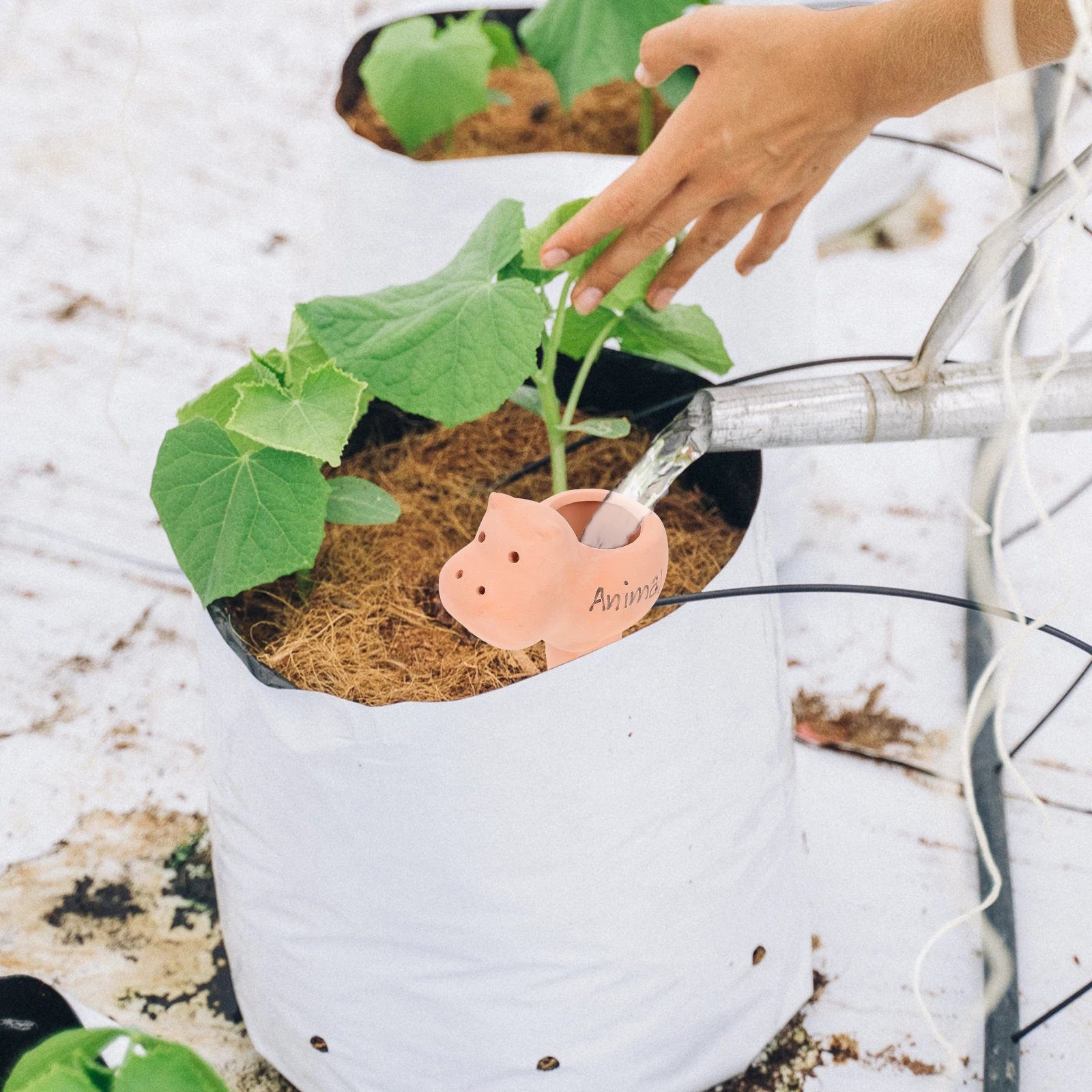 

Ceramic Automatic Watering Drip Device Beautiful Cartoon Design Plant Self Watering Tool for Container Plants Self-Watering Tool