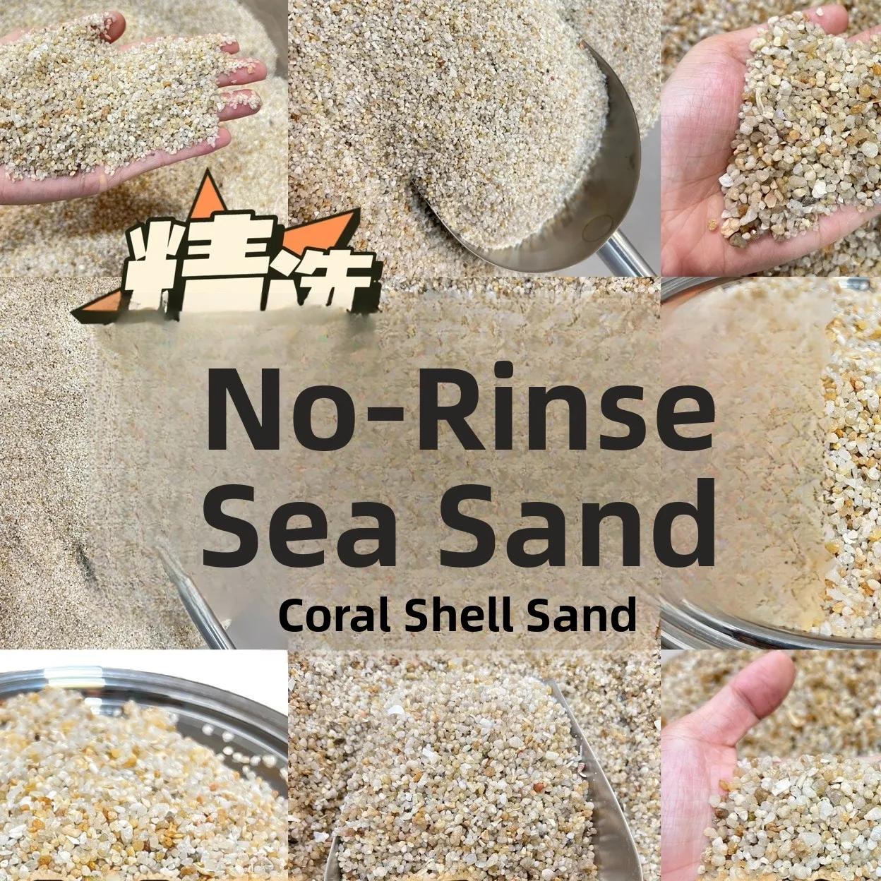 

l No-Wa Sea Sand Aquarium Decoration Crab ell Substrate for Small Fi Large Fi Turtles Simp Special Fi