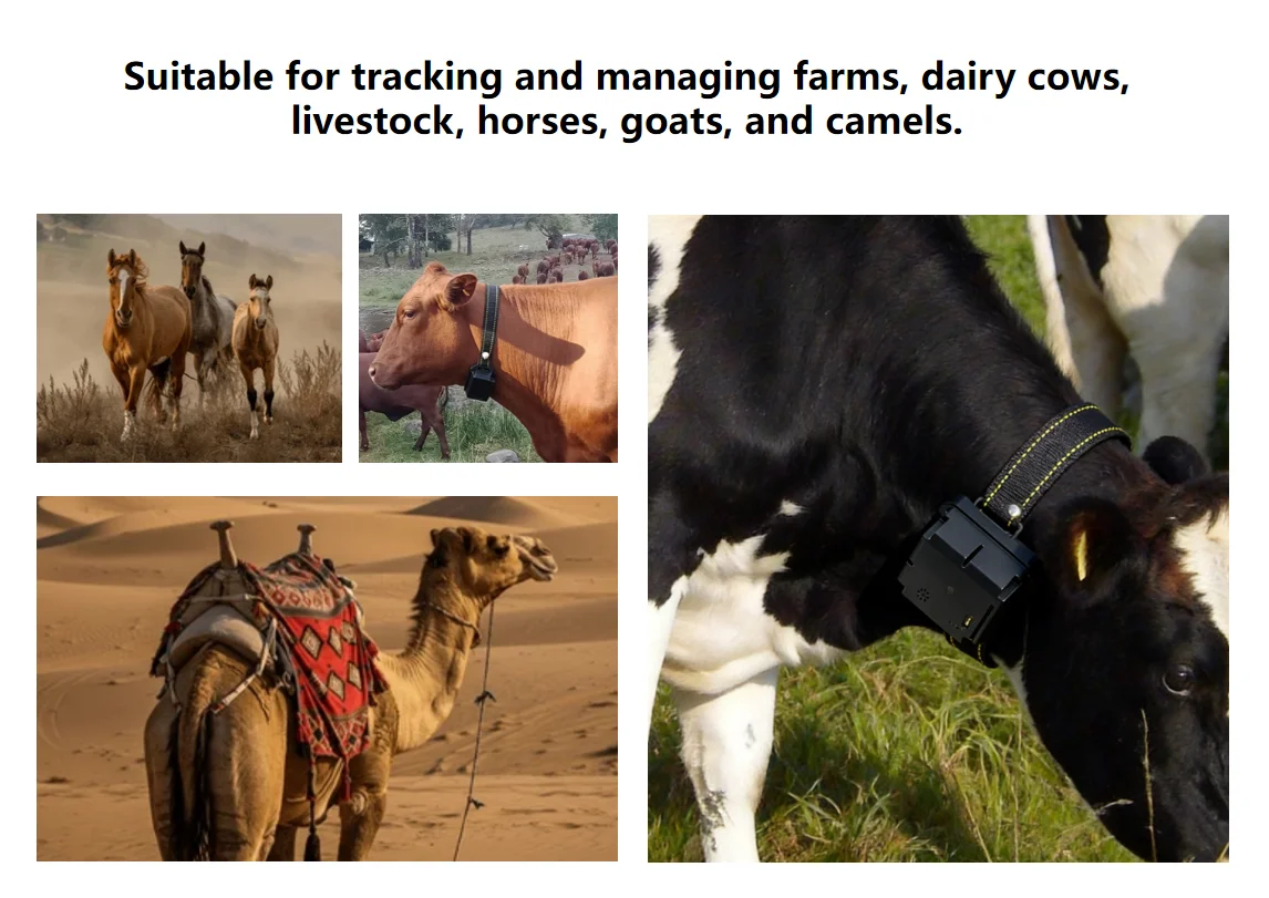 Geo Virtual Fence for Cows Draw Custom Boundaries Smart Livestock Management Accurate  Virtual Enclosure for Cattle