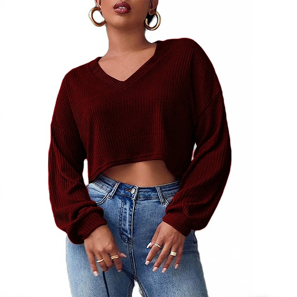 

Autumn Winter T-Shirts 2025 Women's T-Shirts Long Sleeve V-Neck Plain Daily Regular Fit T-Shirts