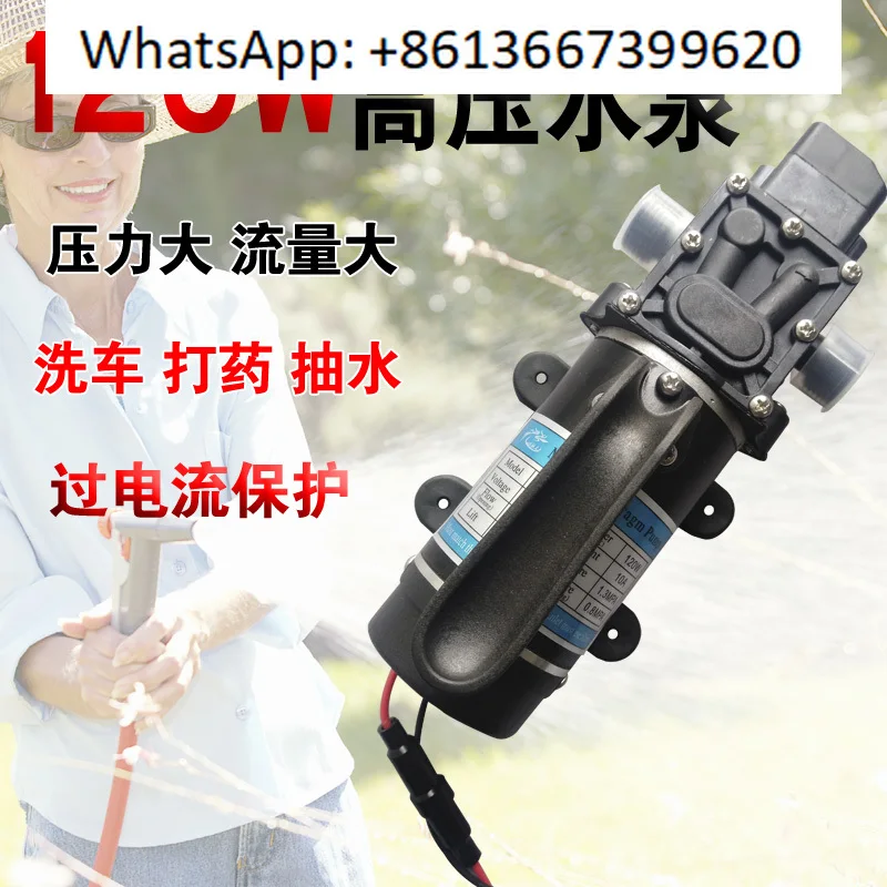 

High pressure spraying car washing machine water pump household electric diaphragm pump pressure leak detection 12V24V120W