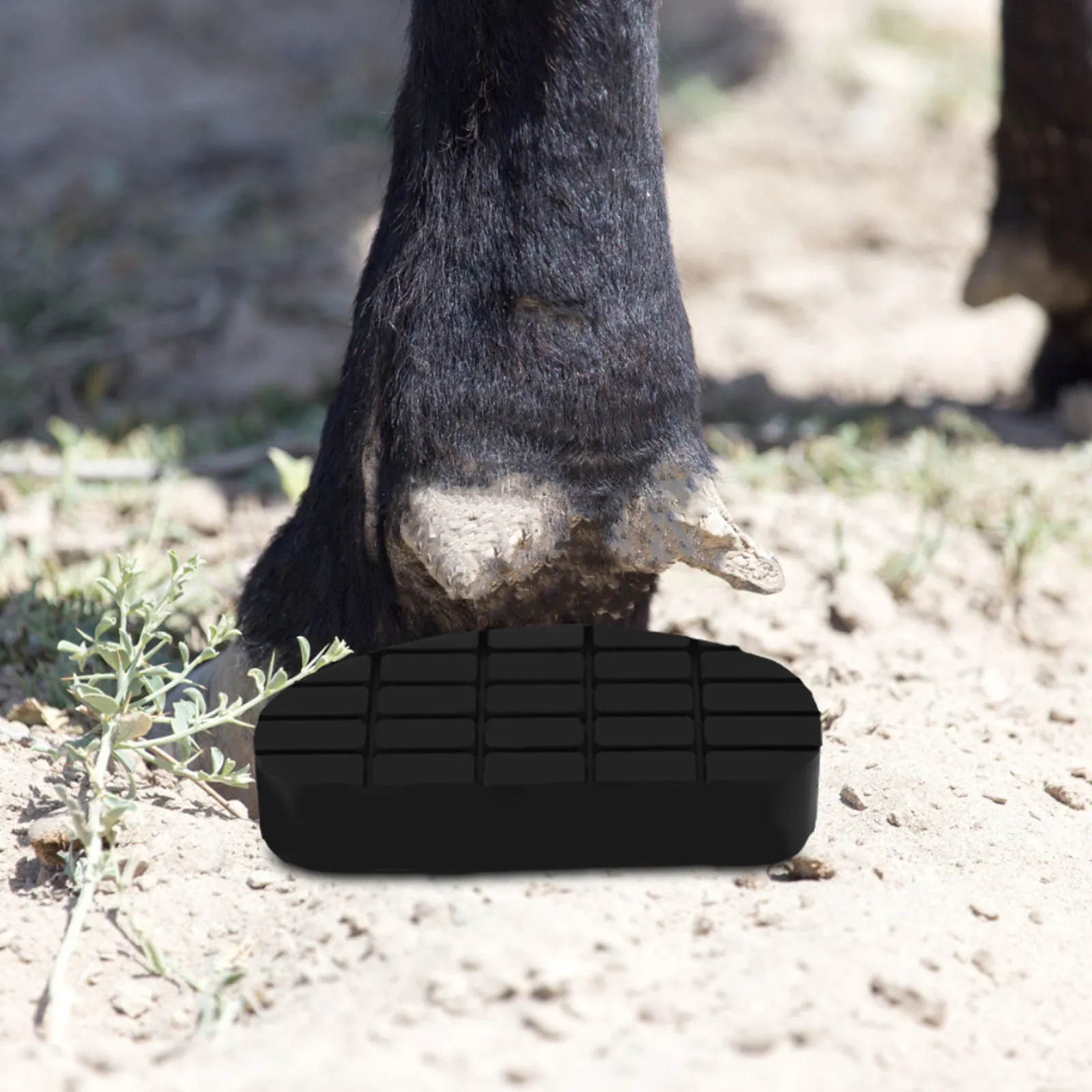 Cow Hoof Trimming Pad Rubber Material Excellent Protection Reduces Injury Risk Versatile for Horse Sheep Hoof